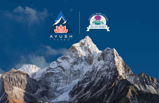 Ayush Herbs dual logos on top of a blue sky white mountain