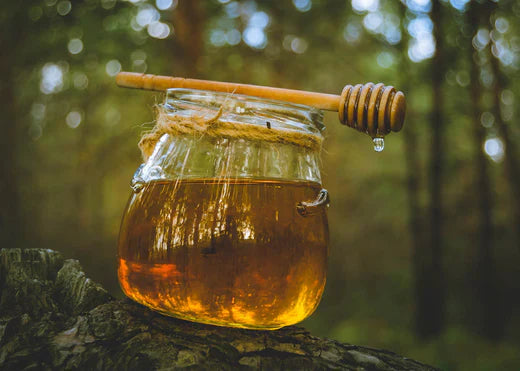 A honey jar with a wooden stick rests atop a rustic tree stump, showcasing natural elements and a sweet treat.
