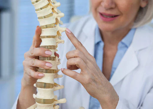 A woman in a white coat holds a spine model, demonstrating her expertise in anatomy and healthcare.