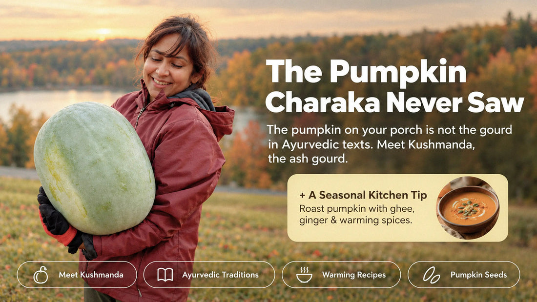 The Pumpkin Charaka 