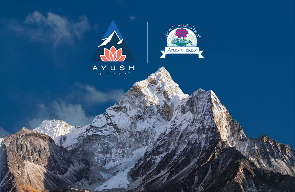 The new and old Ayush logos next to each other. 