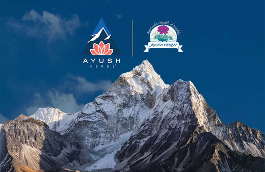 The Ayush Herbs Evolution: The Exciting Growth At Ayush Herbs