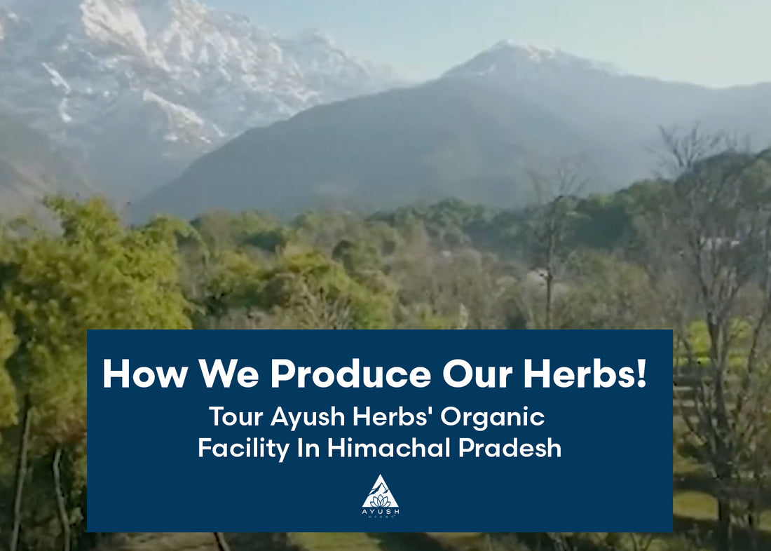 How We Produce Ayurvedic Herbs - Tour Ayush Herbs' Organic Facility In Himachal Pradesh