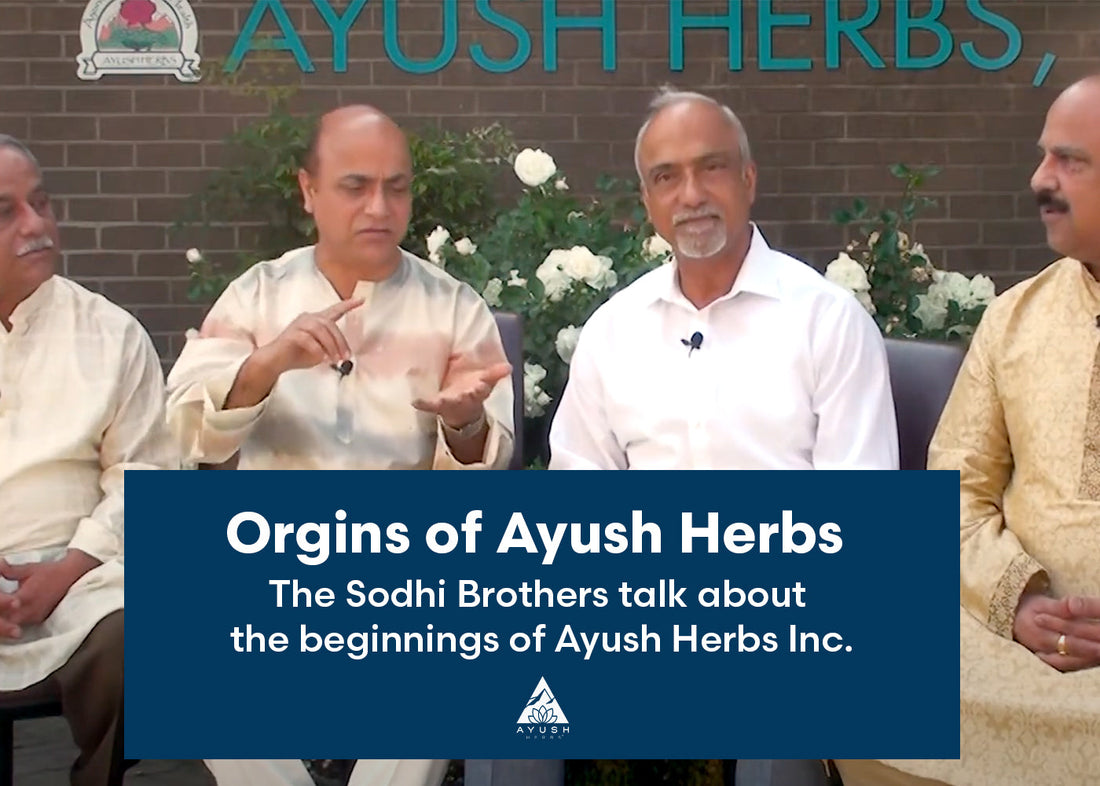 South Indian brothers discussing the origins and benefits of Ayush herbs in a vibrant, engaging conversation.