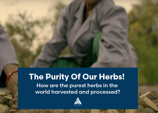 The Secret To The Purity Of Our Herbs | Ayush Herbs