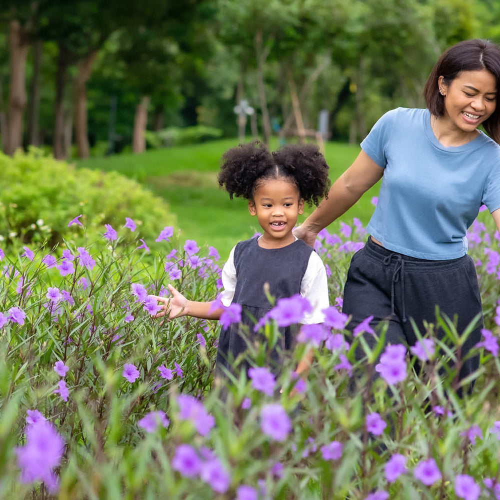 Slay Your Seasonal Health Struggles with Herbal Allies and Ayurvedic Secrets!