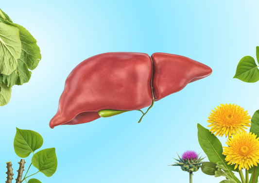 Natural Ways To Support Your Liver For Daily Wellness