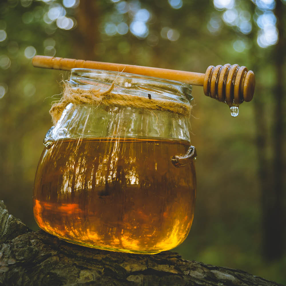 Honey: A Tale As Old As Time