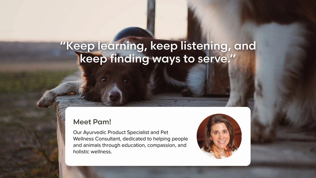 The Header image for pam nixon article