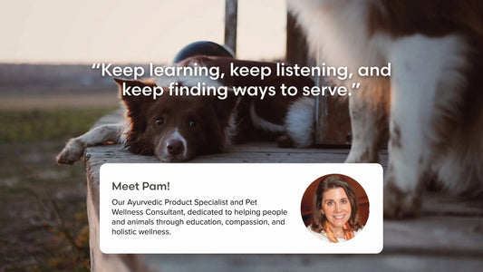 The Header image for pam nixon article