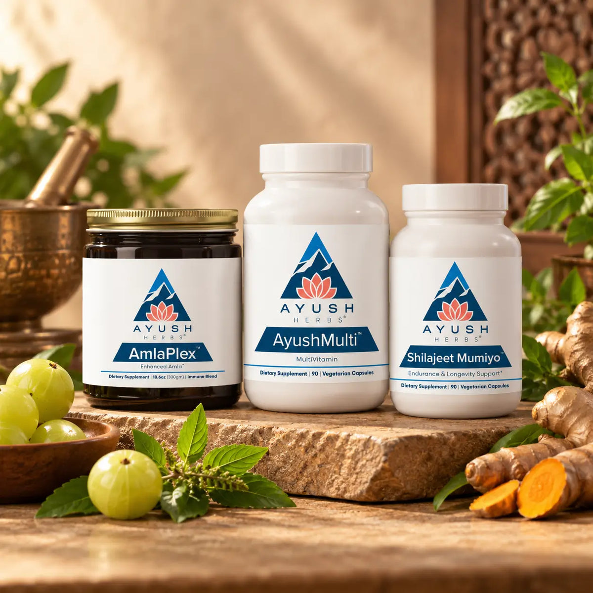 Immune Support lineup, Shilajeet, shilajit, amla, multivitamin