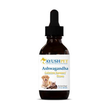 Pet Ashwagandha Drops are the complete all-natural solution for pet stress and cognitive health by ruved herbal supplements and ayush herbs