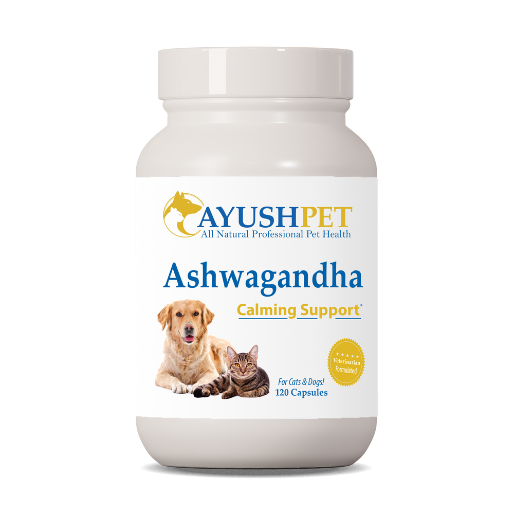 
                  
                    Ashwagandha Bottle front by Ayush Pet herbal supplements
                  
                