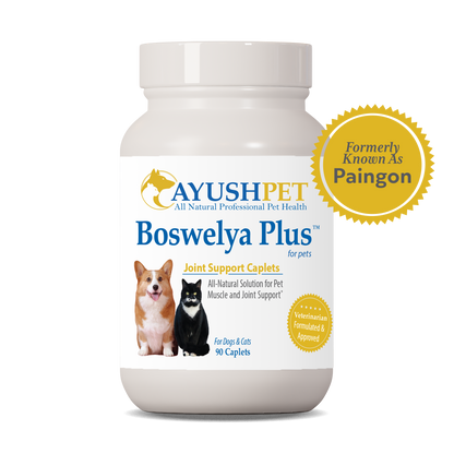 Boswelya Plus Pet Bottle front by Ayush Pet herbal supplements