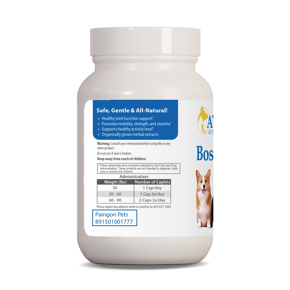 
                  
                    Boswelya Plus Pet Bottle right side by Ayush Pet herbal supplements
                  
                