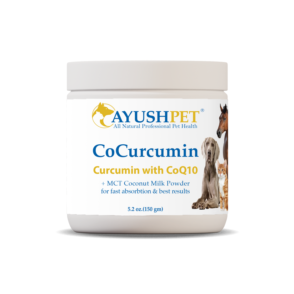 Cocurcumin Pet Bottle front by Ayush Pet herbal supplements