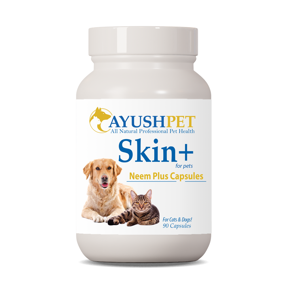 
                  
                    Neem Plus Pet Capsules Bottle front by Ayush Pet herbal supplements
                  
                