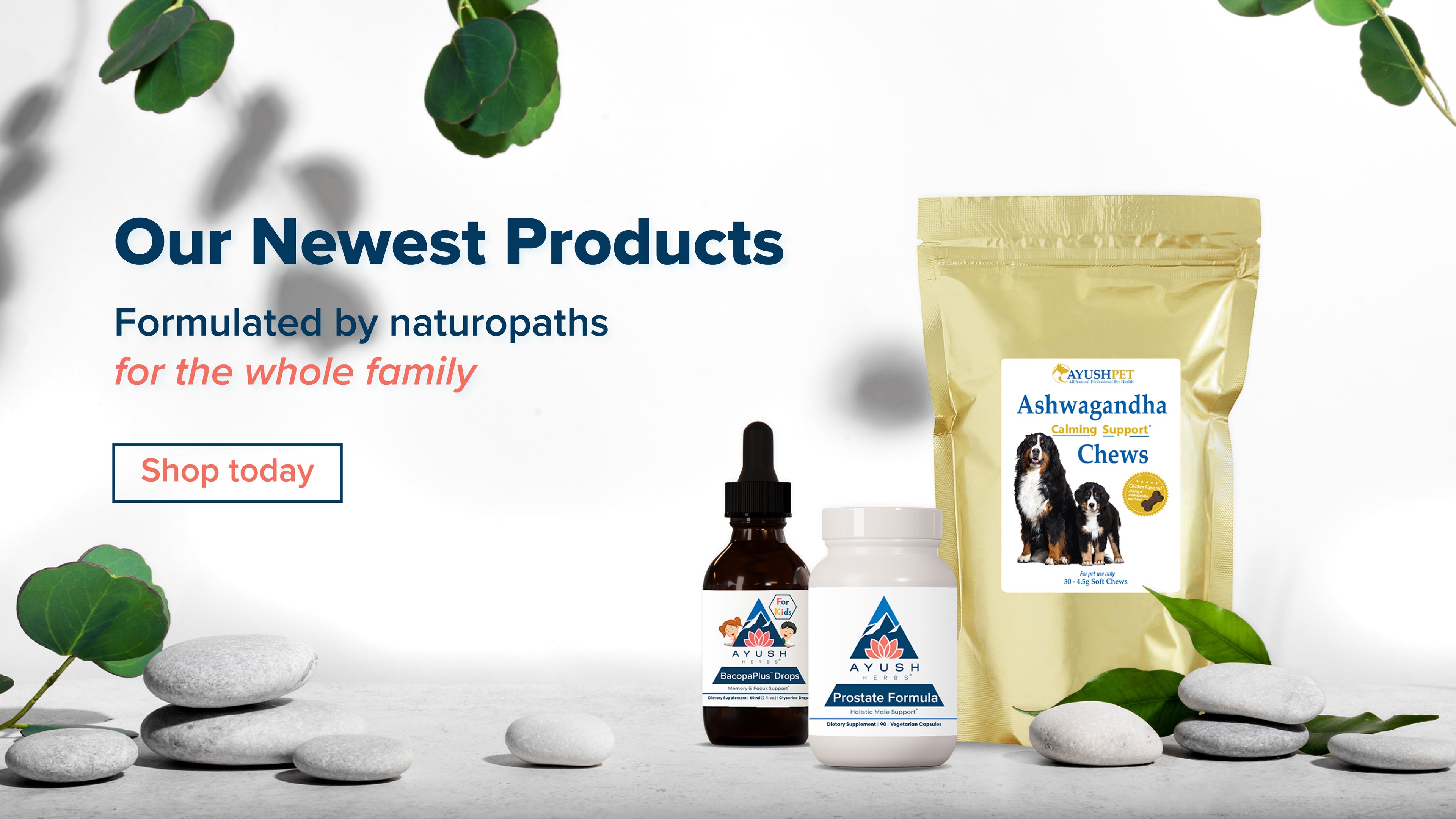 A banner featuring our newest products, Ashwagandha Pet Chews, Prostate Formula, and Bacopa Plus Drops