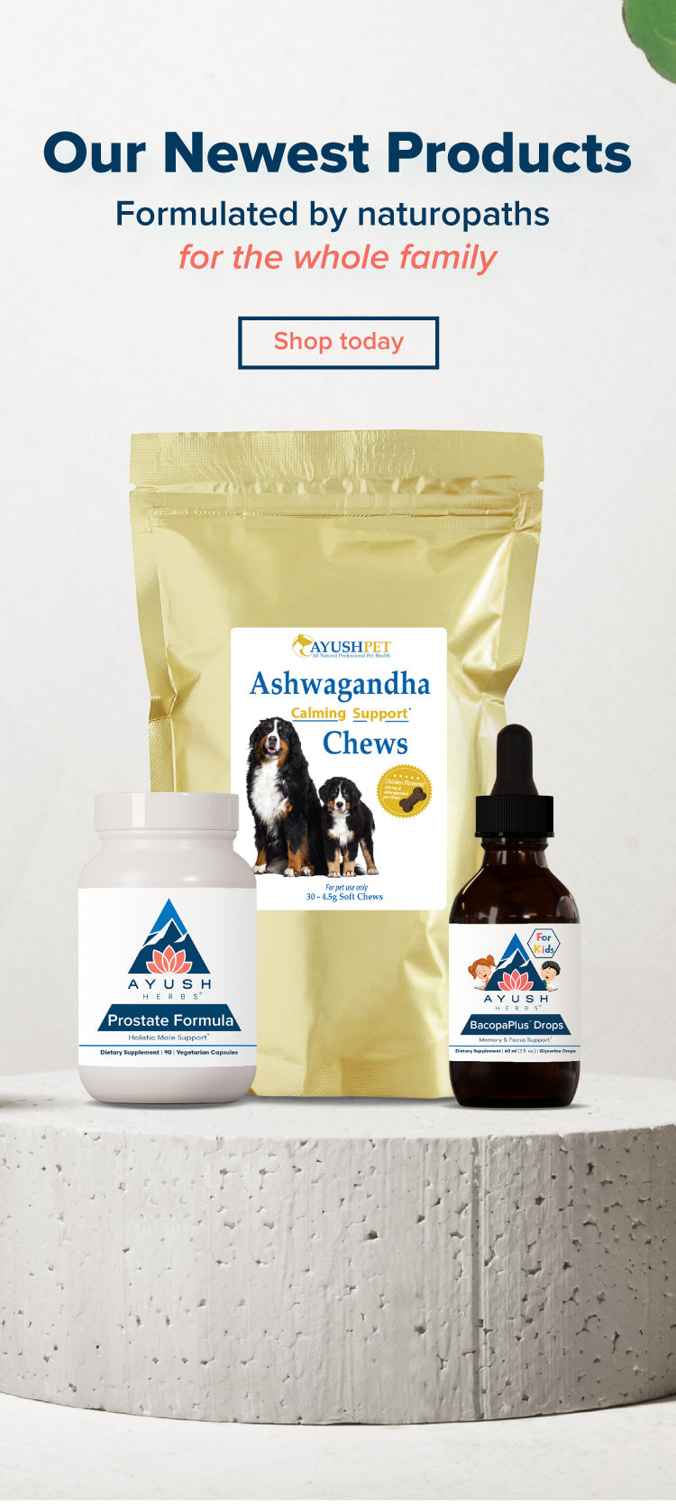 A banner featuring our newest products, Ashwagandha Pet Chews, Prostate Formula, and Bacopa Plus Drops
