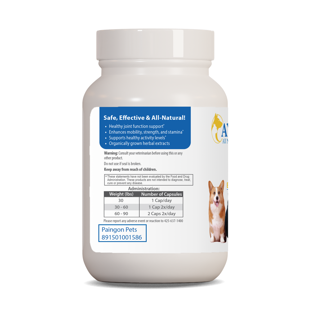 
                  
                    Paingon Pet Bottle right side by Ayush Pet herbal supplements
                  
                
