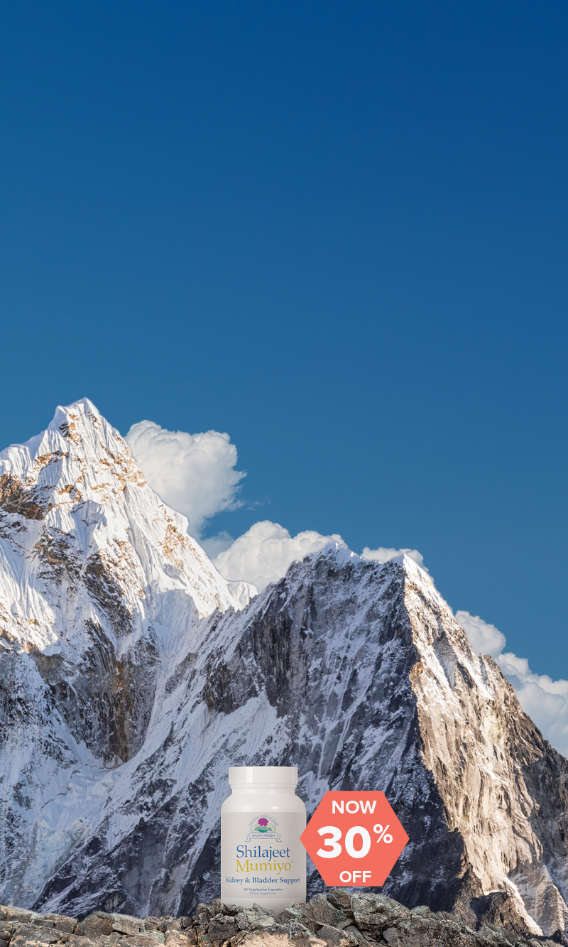 Shilajit bottle nested near mountains, now 30% off.