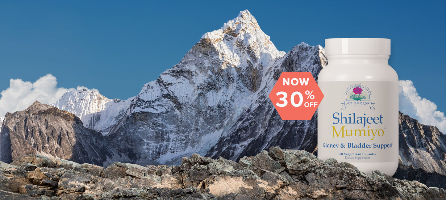 Shilajit bottle nested near mountains, now 30% off.