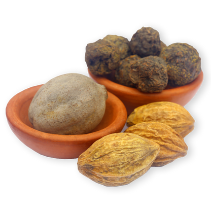 Triphala ingredients plant image by Ayush herbs herbal supplements