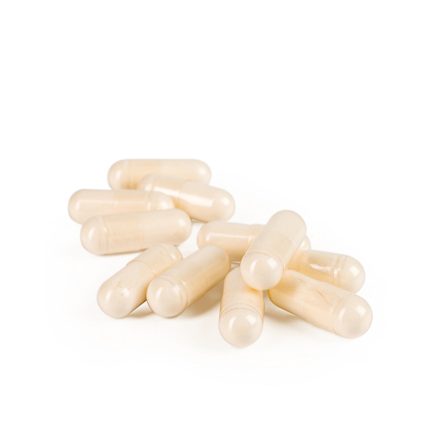 
                  
                    Probiotic 100B Capsules by Ayush herbs herbal supplements
                  
                