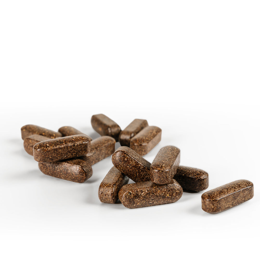 
                  
                    Rentone Caplets by Ayush herbs herbal supplements
                  
                