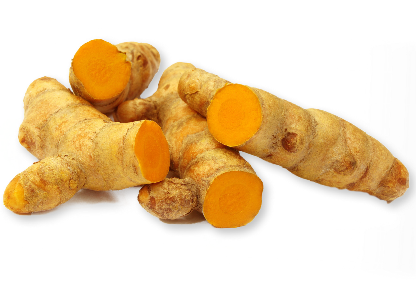 
                  
                    Turmeric root plant image by Ayush herbs herbal supplements
                  
                