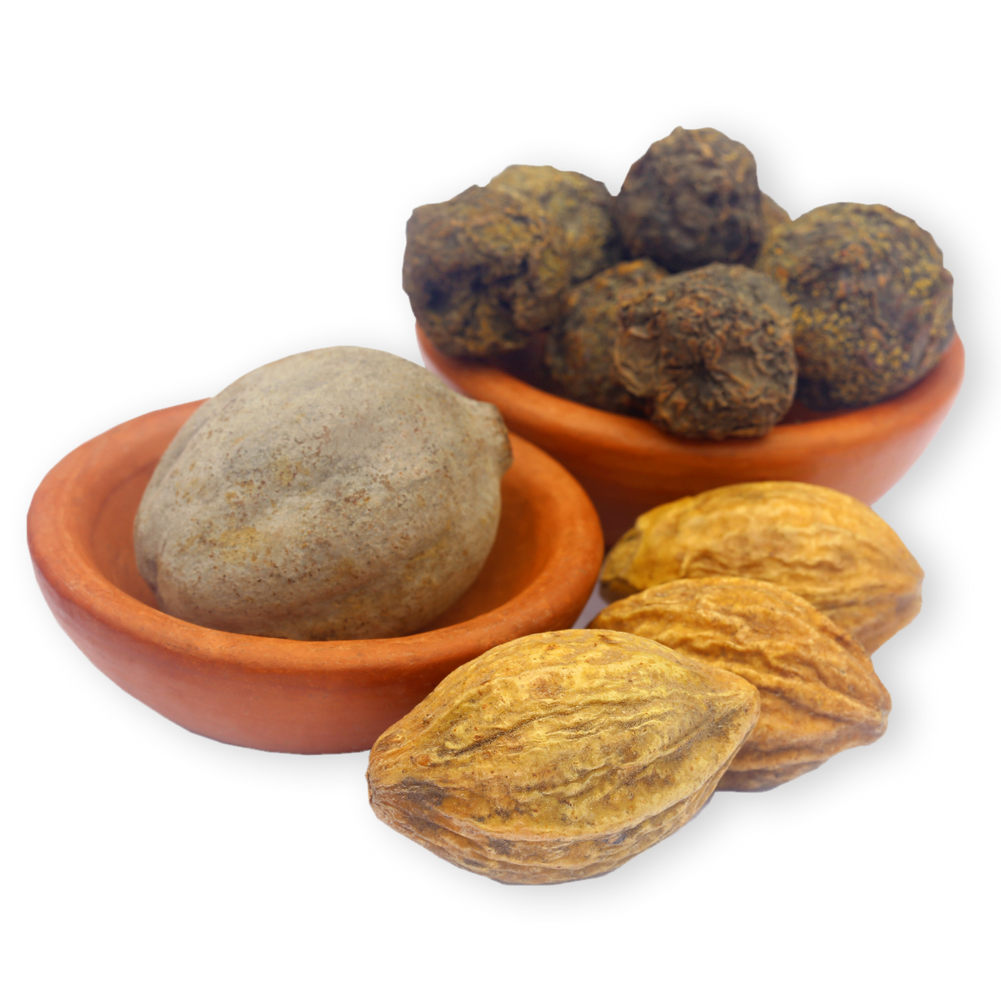 
                  
                    Triphala ingredients plant image by Ayush herbs herbal supplements
                  
                